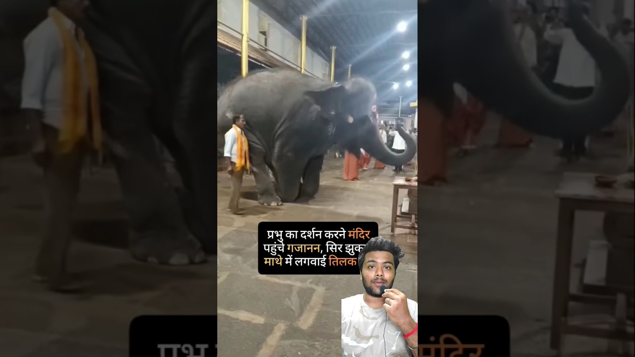 Animals praying god❤🚩sanatan dharm❤🔥#shorts