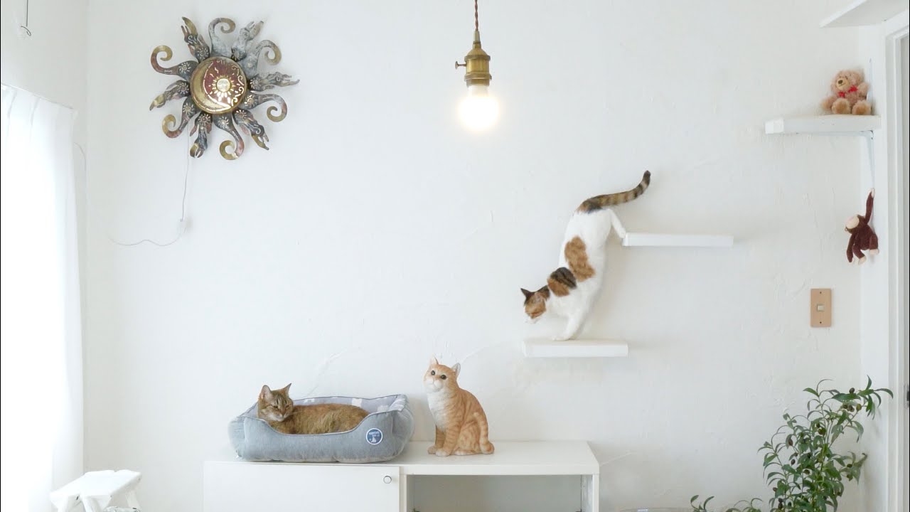 【DIY】スッキリしたキャットウォークを設置したら…可愛すぎるぅうぅ