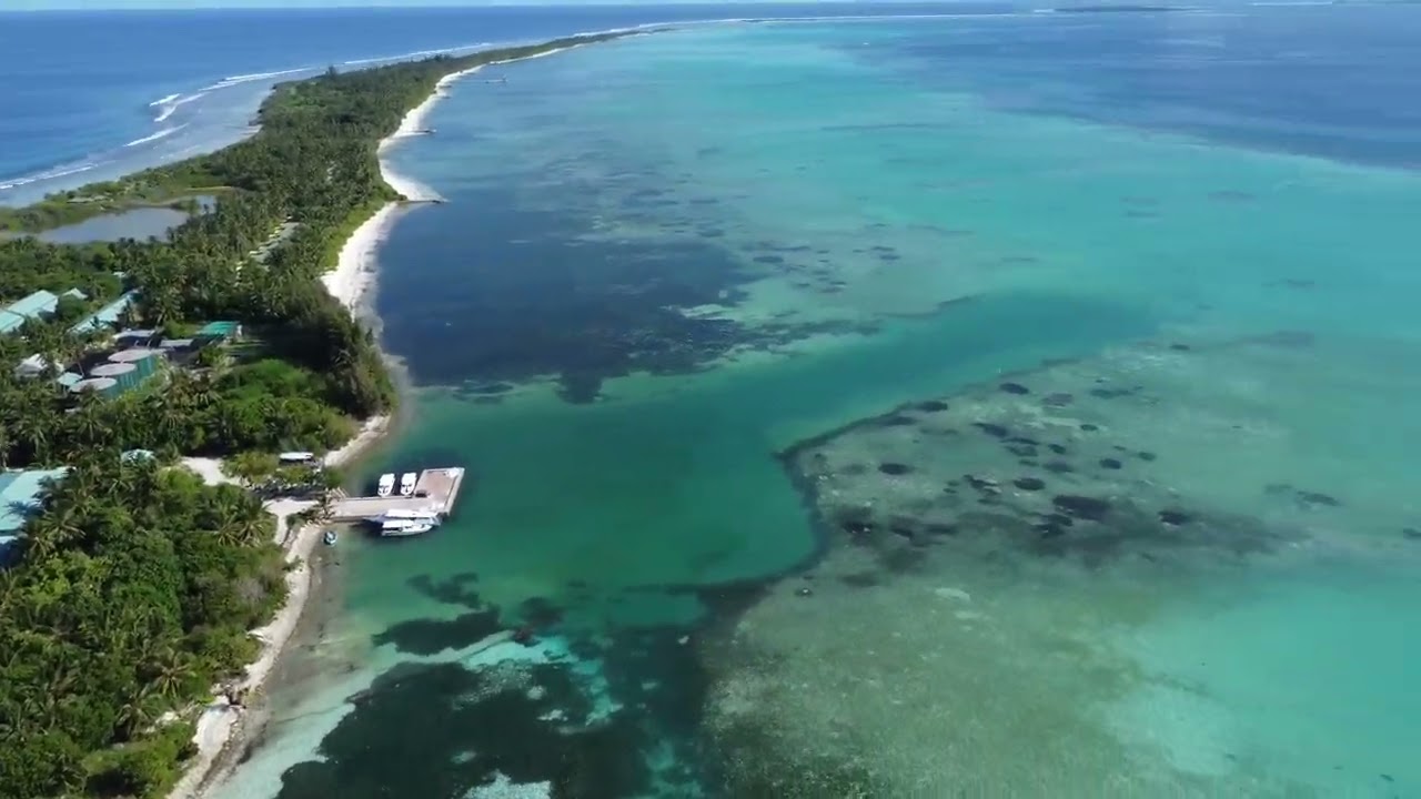 Snorkeling point Canareef resort Maldives