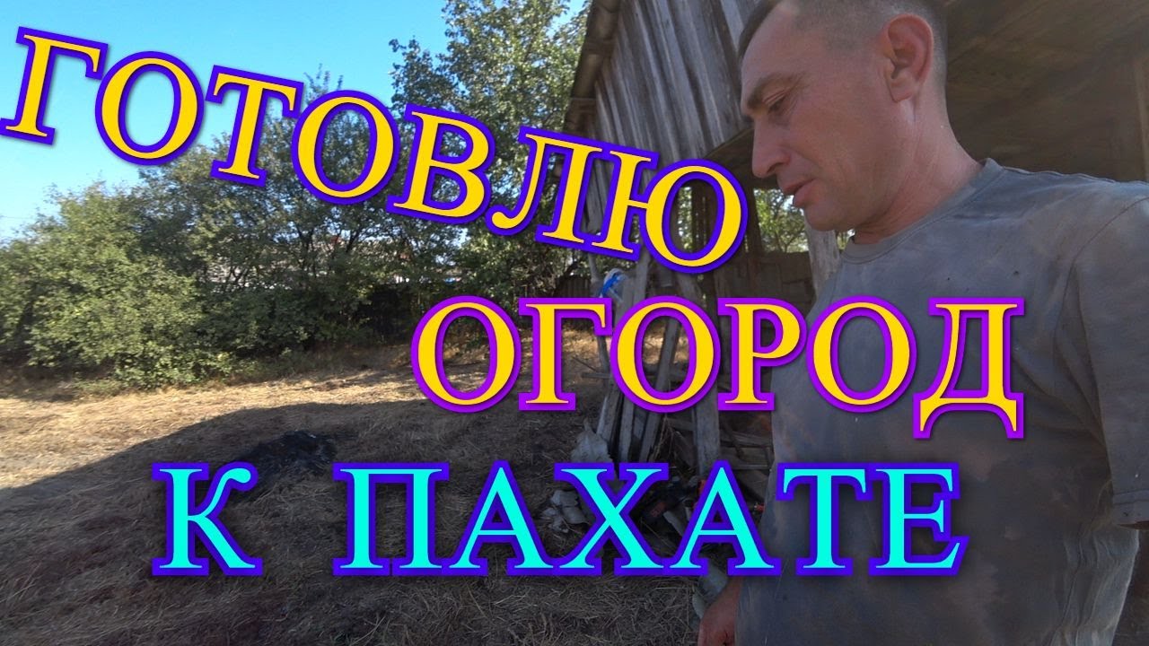 ОГОРОД НА СЛЕДУЮЩИЙ ГОД/