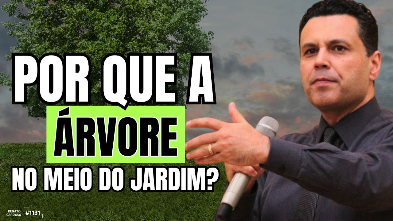 POR QUE A ÁRVORE NO MEIO DO JARDIM? 🌴 | #1131