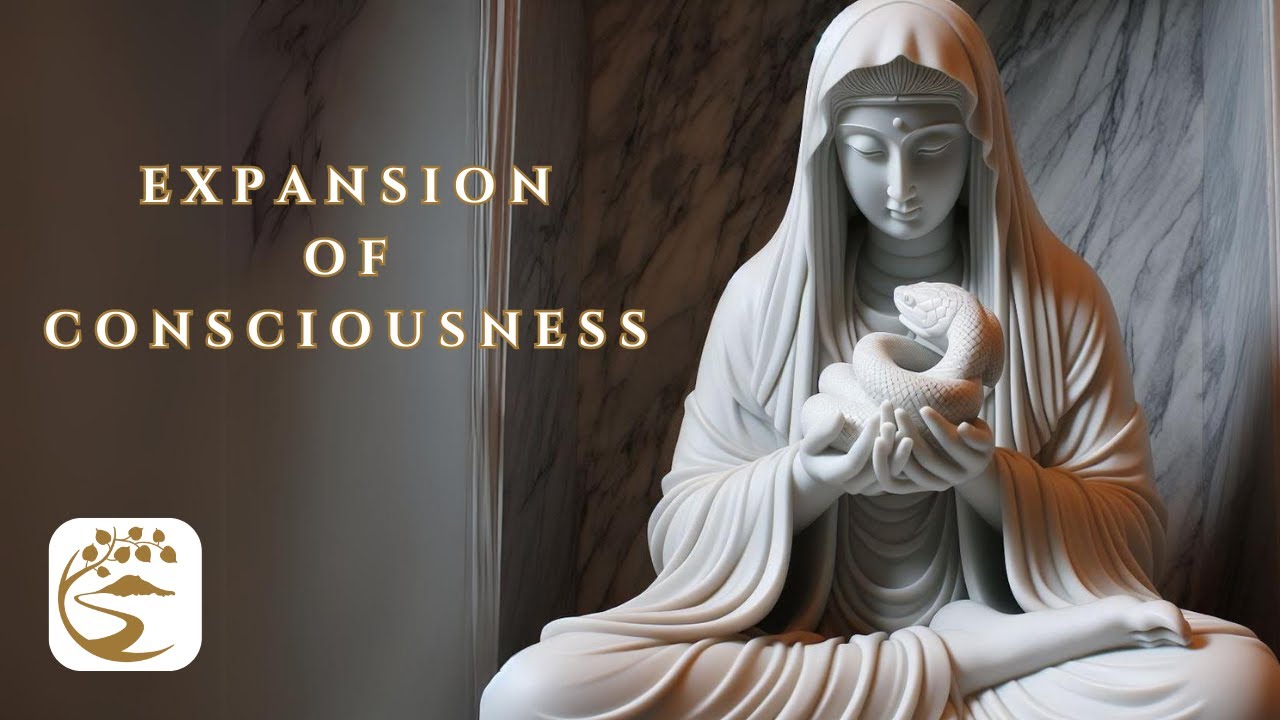 Healing Spiritual Crisis | Tara Springett Q&A