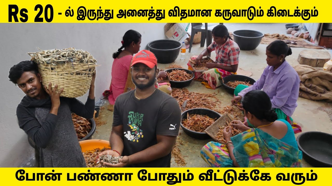 Rs 20 - ல் இருந்து அனைத்து விதமான கருவாடும் கிடைக்கும் | Wholesale Price Dry fish