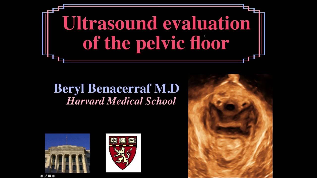 AIUM Webinar: Ultrasound Evaluation of the Pelvic Floor