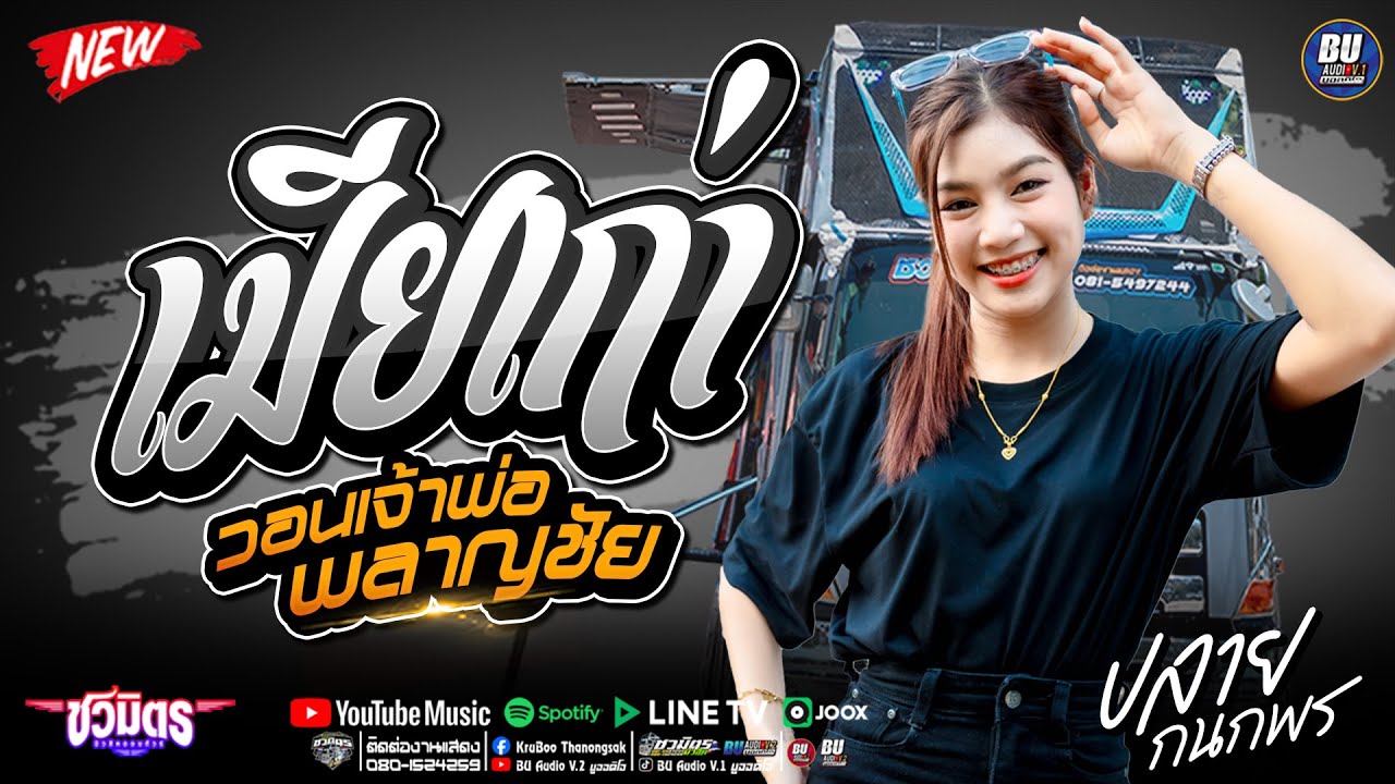 เพราะโดนใจ!!💥 เมียเก่า + วอนเจ้าพ่อพลาญชัย - เขามีอะไรกันแล้ว - ปลาย กนกพร - รถแห่ชวมิตรมิวสิค No.2