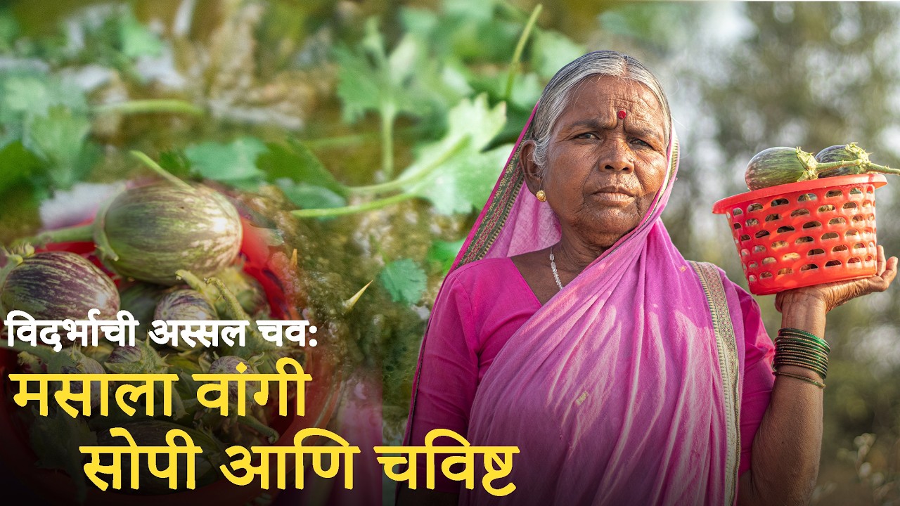 विदर्भाची अस्सल चव मसाला वांगी सोपी आणि चविष्ट | Authentic of Vidarbha Masala Vangi simple and tasty