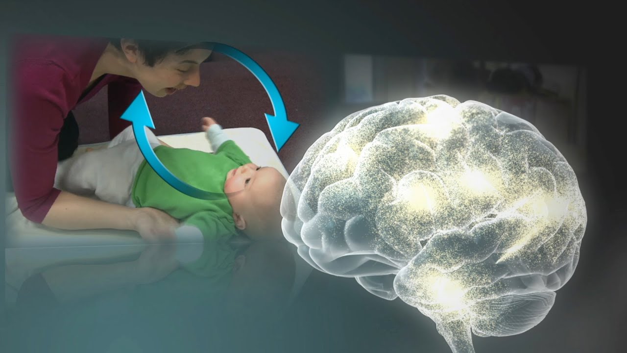 Serve & Return Interaction Shapes Brain Circuitry