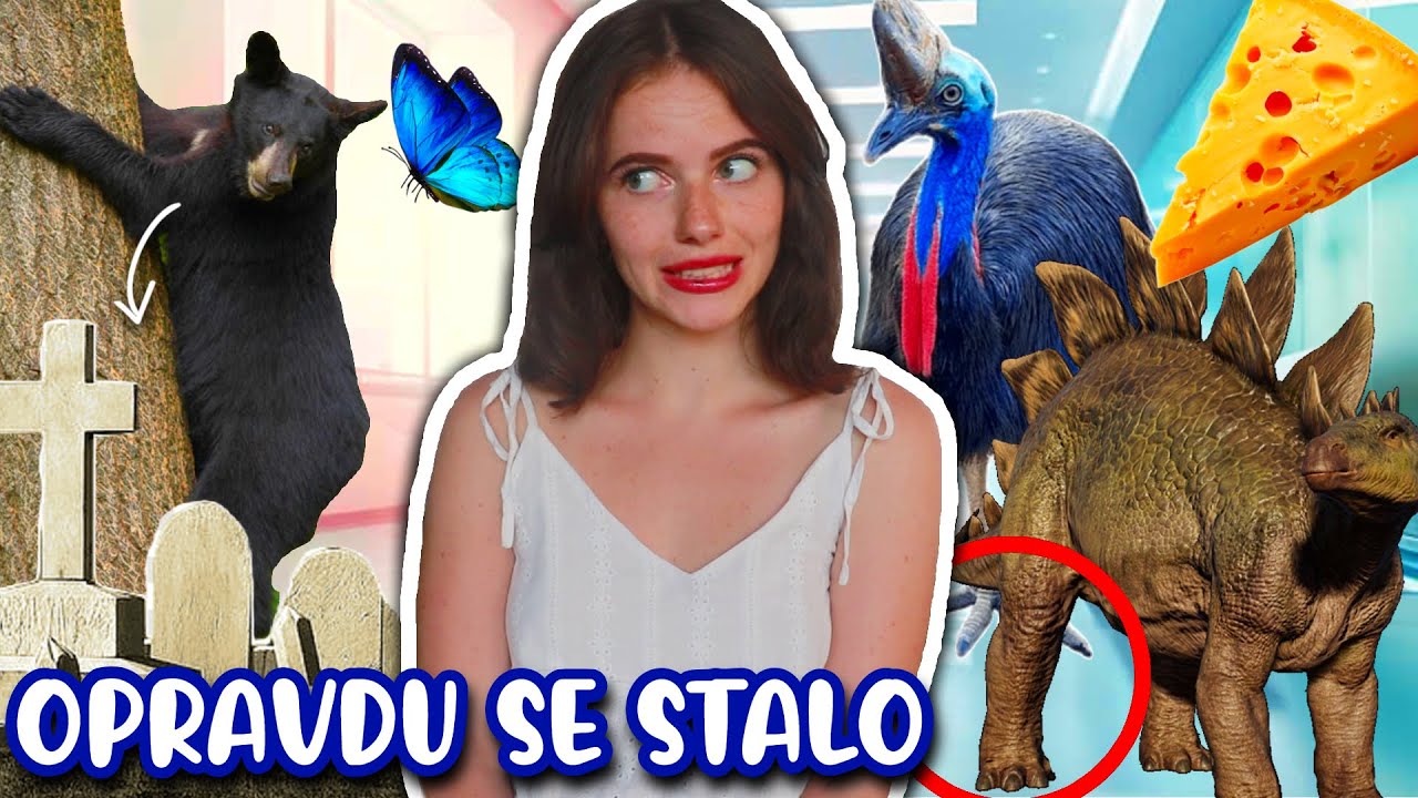 Zemřeli tak bizarně, až to děsí | další NEJPODIVNĚJŠÍ ÚMRTÍ 21. STOLETÍ (ještě horší) | Just Justýna