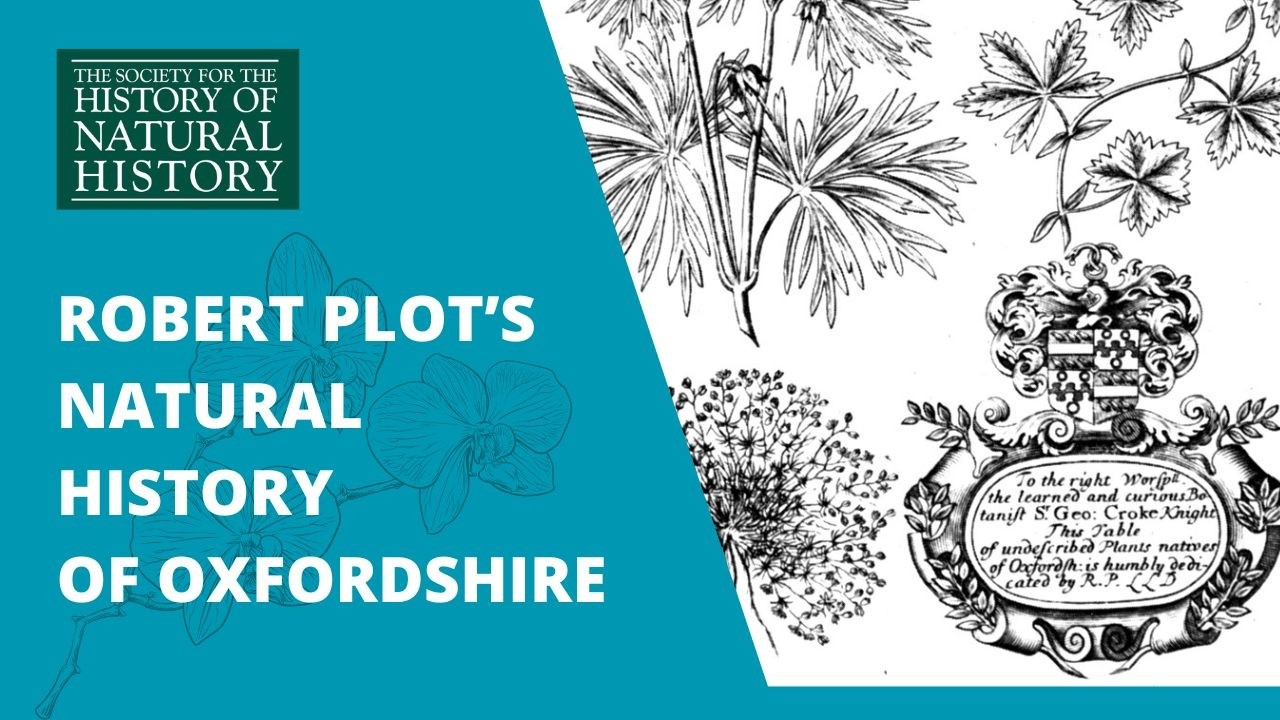 Local knowledge, local remedies: healing earths in Robert Plot’s Natural History of Oxfordshire