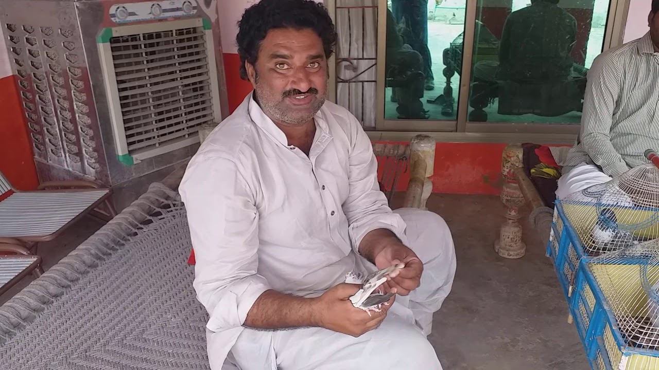 Shehr fareed ustad Fazal hasan lakhvera ka nayab shok || imran Badil salman shah gilani ||