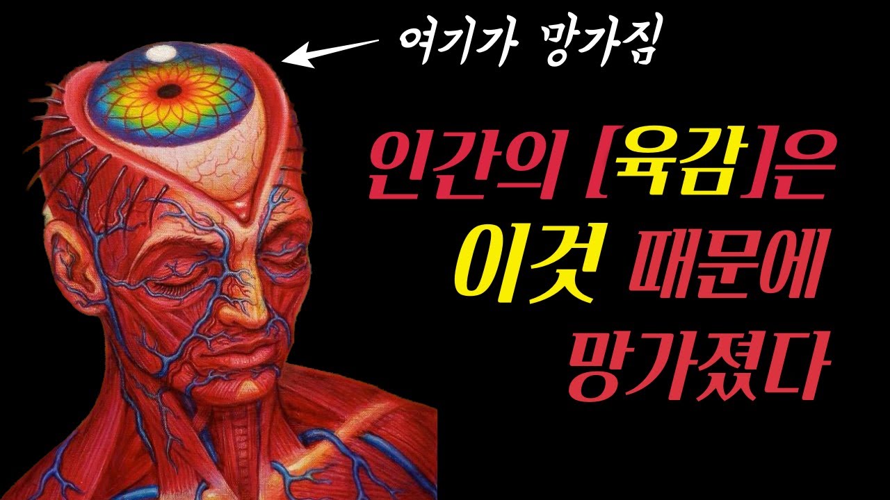 육감을 담당하는 인간에게 숨겨진 제3의눈 = 송과선 망치는 이것 | 두정안 | 송과체