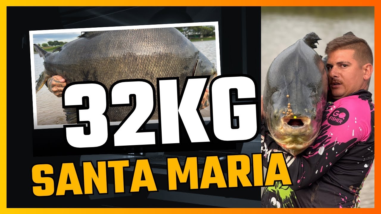 PESQUEIRO SANTA MARIA/32KG NA ANTENA/