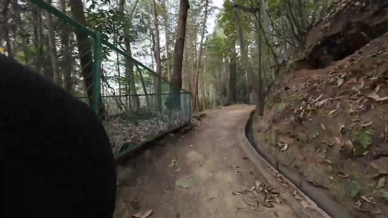 山の辺の道（仏教伝来の地から大神神社）