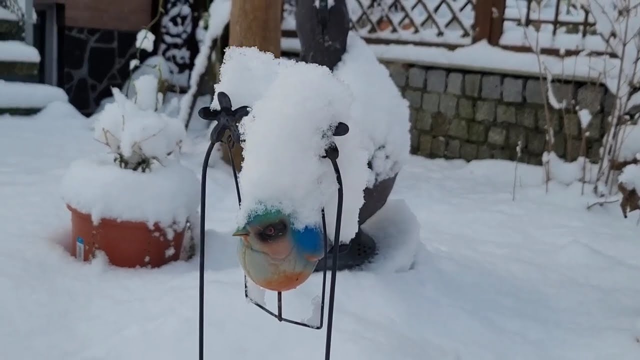 A Snow Day in Teltow | Happy Valentine's day| Playing and Dating.