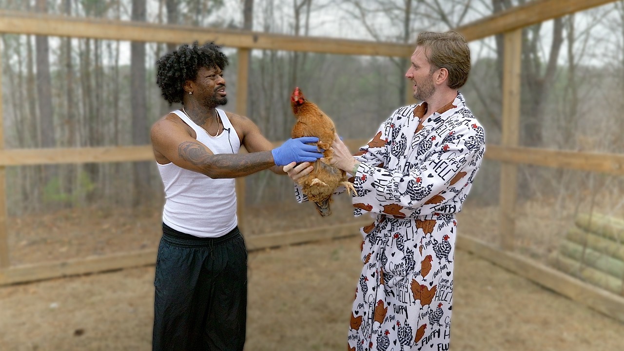 Matt Mathews Teaches Funny Marco Where Chickens Come From | Farm Chores With Matt
