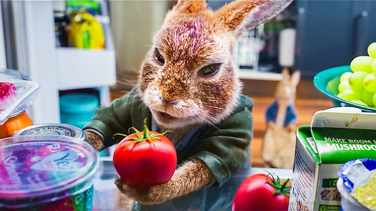 Peter Rabbit 2 Ultimate MISCHIEF Compilation 🌀 4K