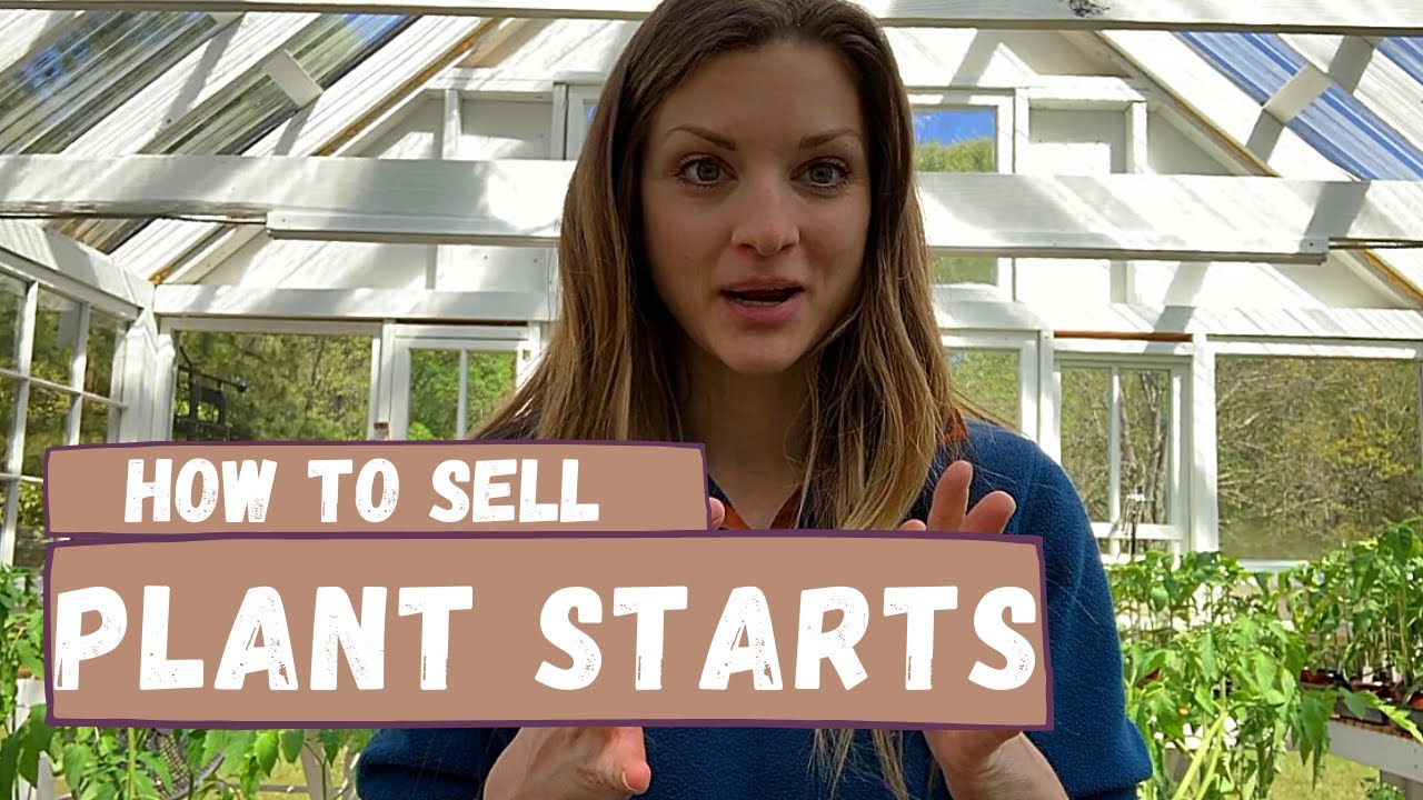 How to be SUCCESSFUL selling PLANT STARTS!
