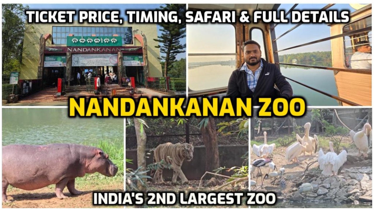 Discover Nandankanan Zoo Odisha | Ticket Price, Timings, Animal Safari & Visitor Tips!