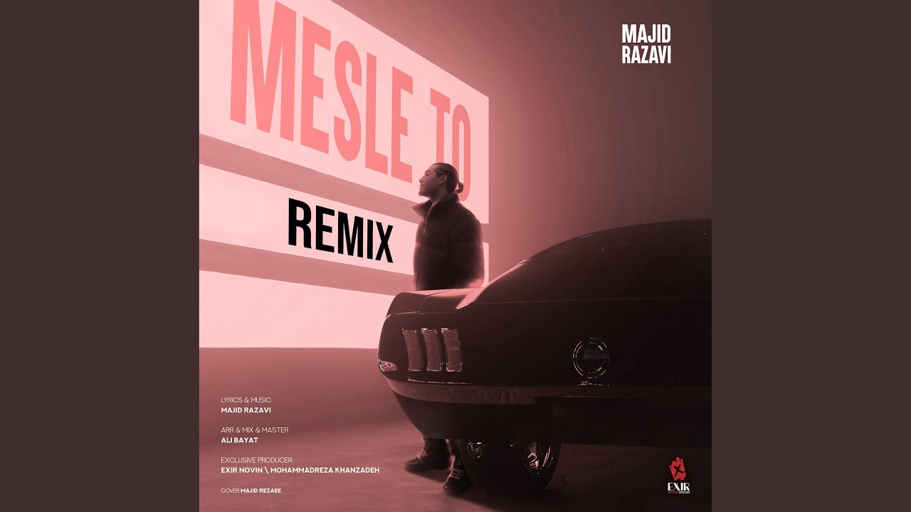 Mesle To (Remix)