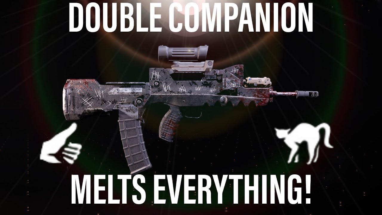 Division 2 - Double Companion With The Famas Melts!