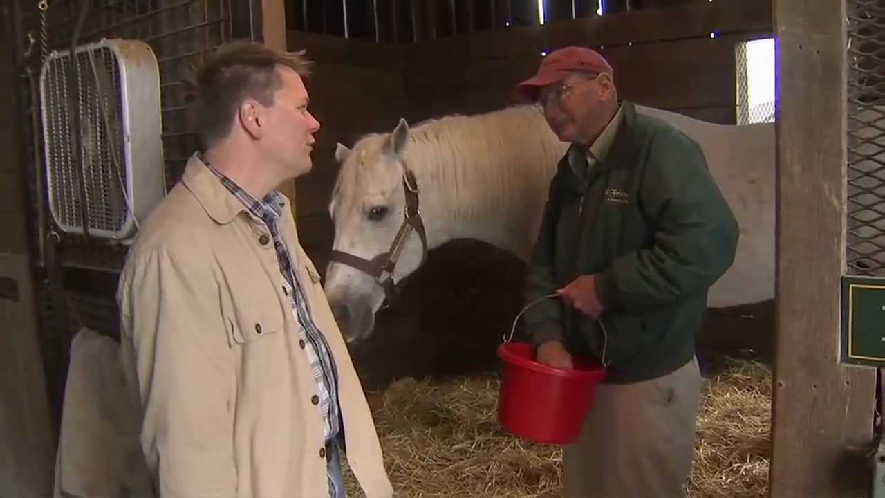 Kentucky Race Horse Farm