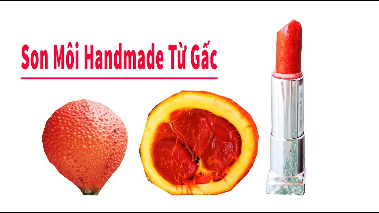 Cách Làm Son Môi Handmade Từ Gấc, Dầu Dừa, Dầu Olive và Sáp Ong - 100% Nguyên Liệu Tự Nhiên