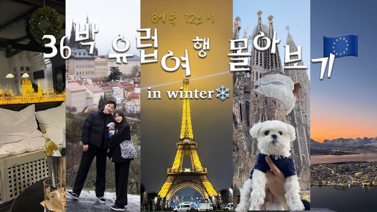 🇪🇺36박 ❄️겨울 유럽여행 몰아보기🎞️ 8개국 12도시 애견동반 자유 여행 (체코,부다페스트,오스트리아,이탈리아,프랑스,노르웨이,스페인,포르투갈.zip)