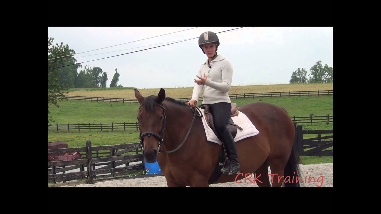 How to Move a Horse's Hindquarters Under Saddle