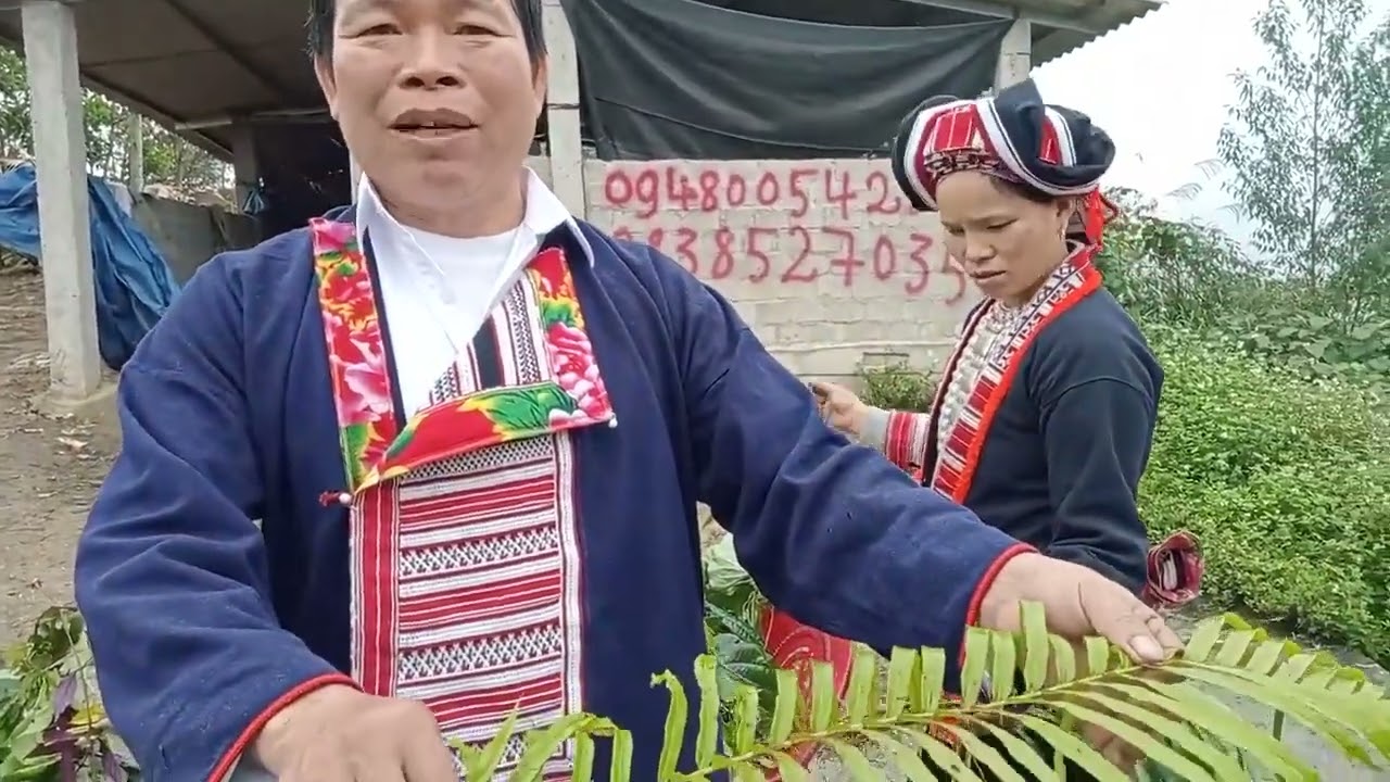 Chỉa sẻ các loại cây thảo dược