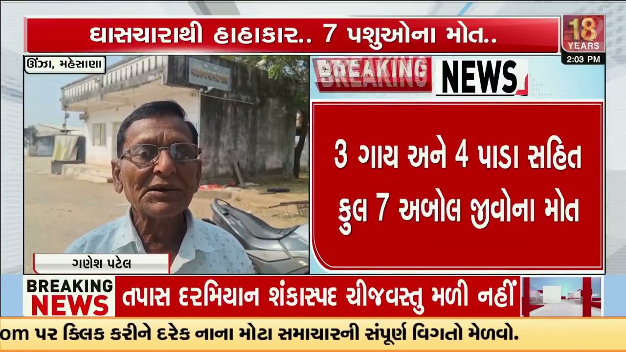 7 Cattle Die of Suspected Food Poisoning at Unjha Panjarapole in Mehsana | Gujarat | TV9Gujarati