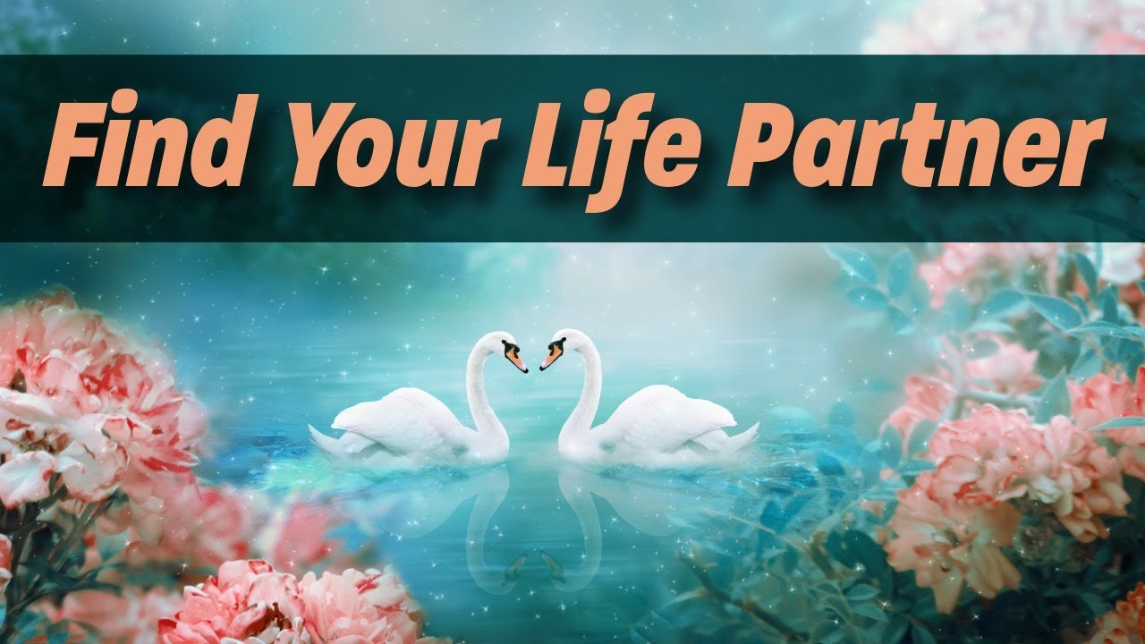 Find The Right Partner For You - Align with Your Ideal Relationship | Subliminal Messages