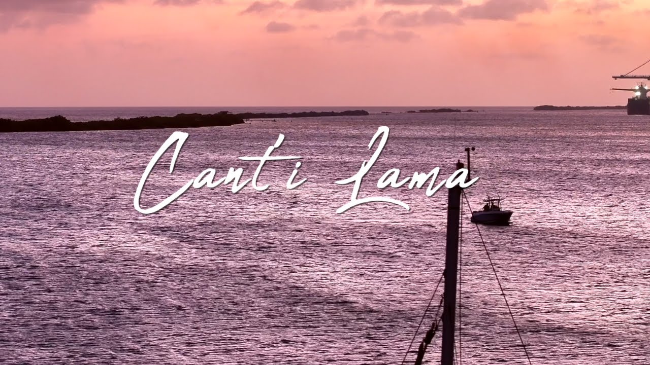 CANT'I LAMA - SUONA X JANTHONY