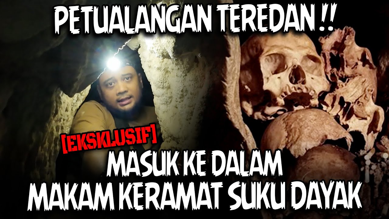 KING COBRA KALAH SEREM PANJI NEKAT MASUK MAKAM KERAMAT SUKU DAYAK !