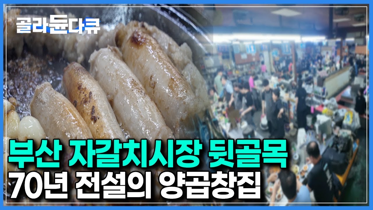 한 건물 아래 주인장만 11명? 부산 자갈치 시장 뒷골목 양곱창집 직접 가보니..｜한국기행｜#골라듄다큐