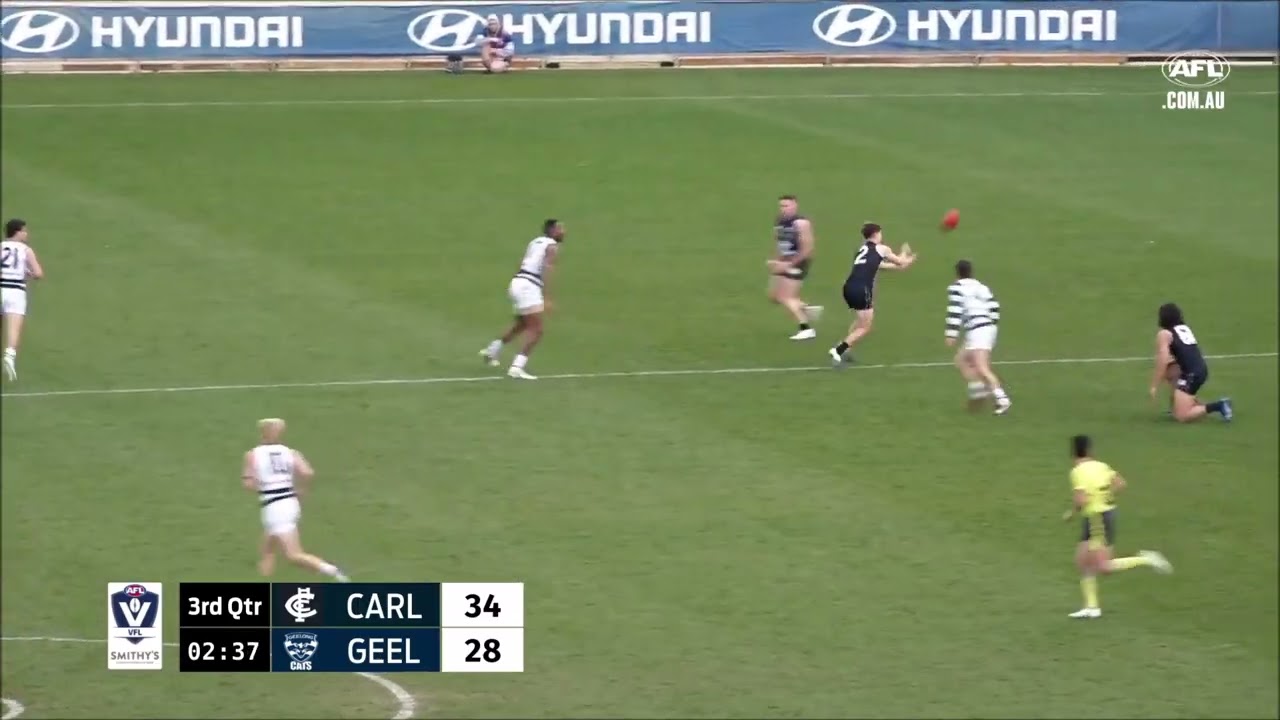 Will Setterfield - Highlights - Carlton vs Geelong - VFL Round 17 2022