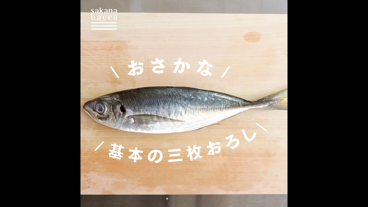 【魚のきほん】おさかな 基本の三枚おろし