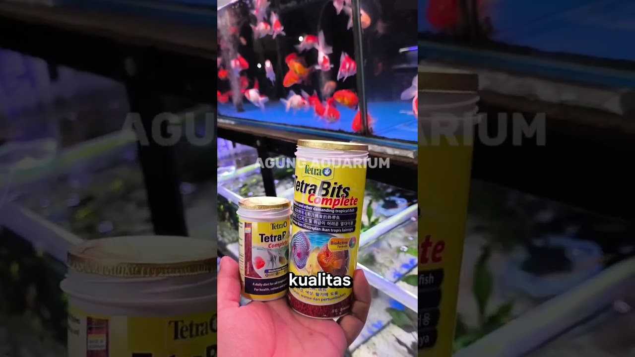 Tetra Bits Complete,Pakan Lengkap untuk Discus & Ikan Kecil! 
