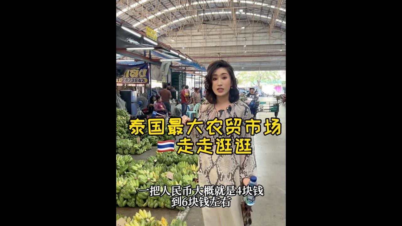 泰国最大农贸市场走走逛逛#泰国#泰国风土人情