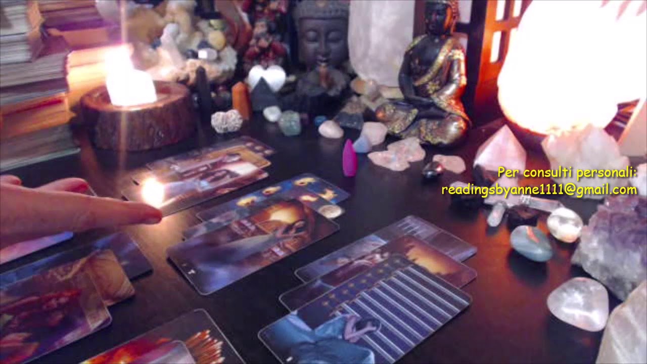 Il suo comportamento mi confonde 🦉🌙 Cosa vuole realmente da me? 🧐