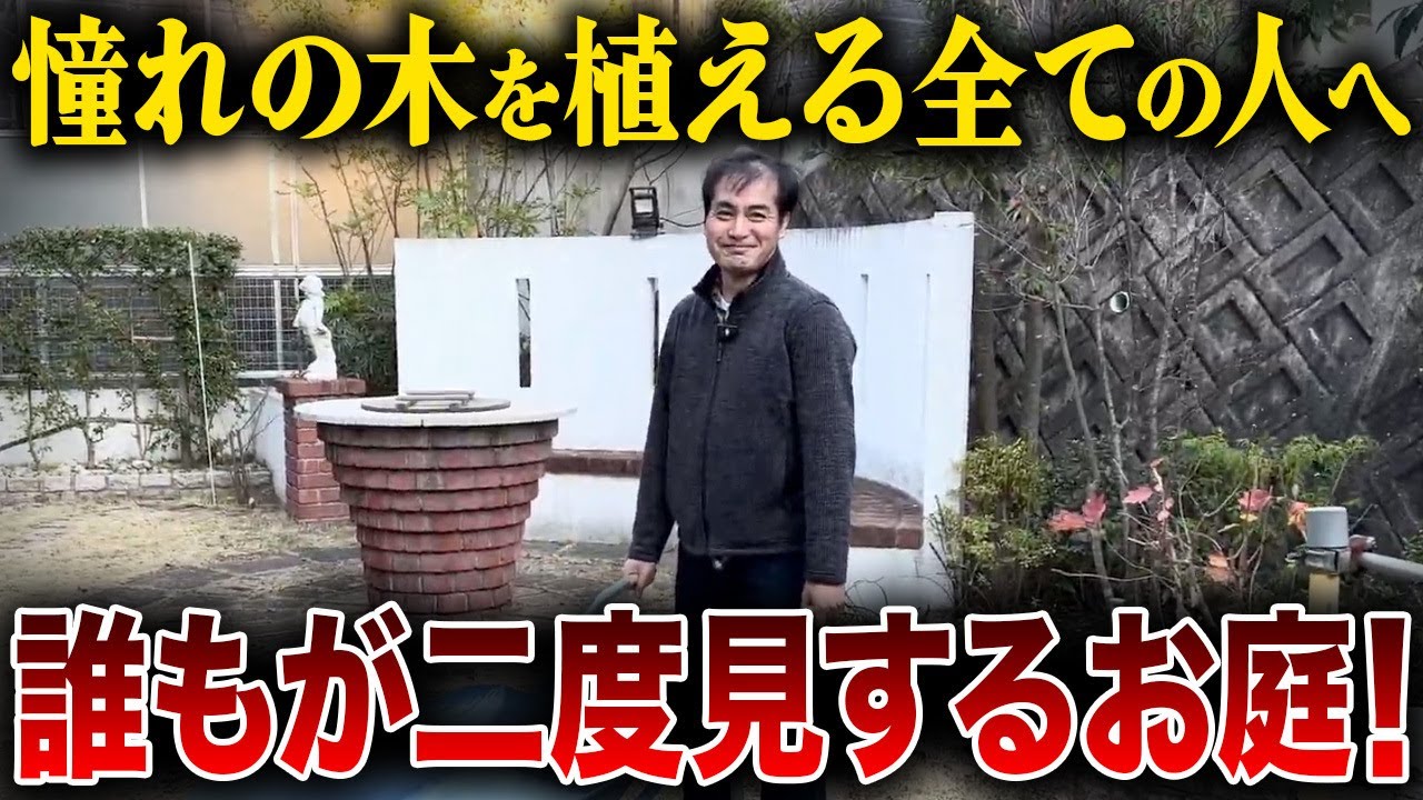 【現場で徹底解説】この低木をパクれ！森庭に合うシンボルツリーが10倍映える足元の極意プロの寄せ植え選定の裏側【注文住宅/外構/新築】【ノエル福岡東店】