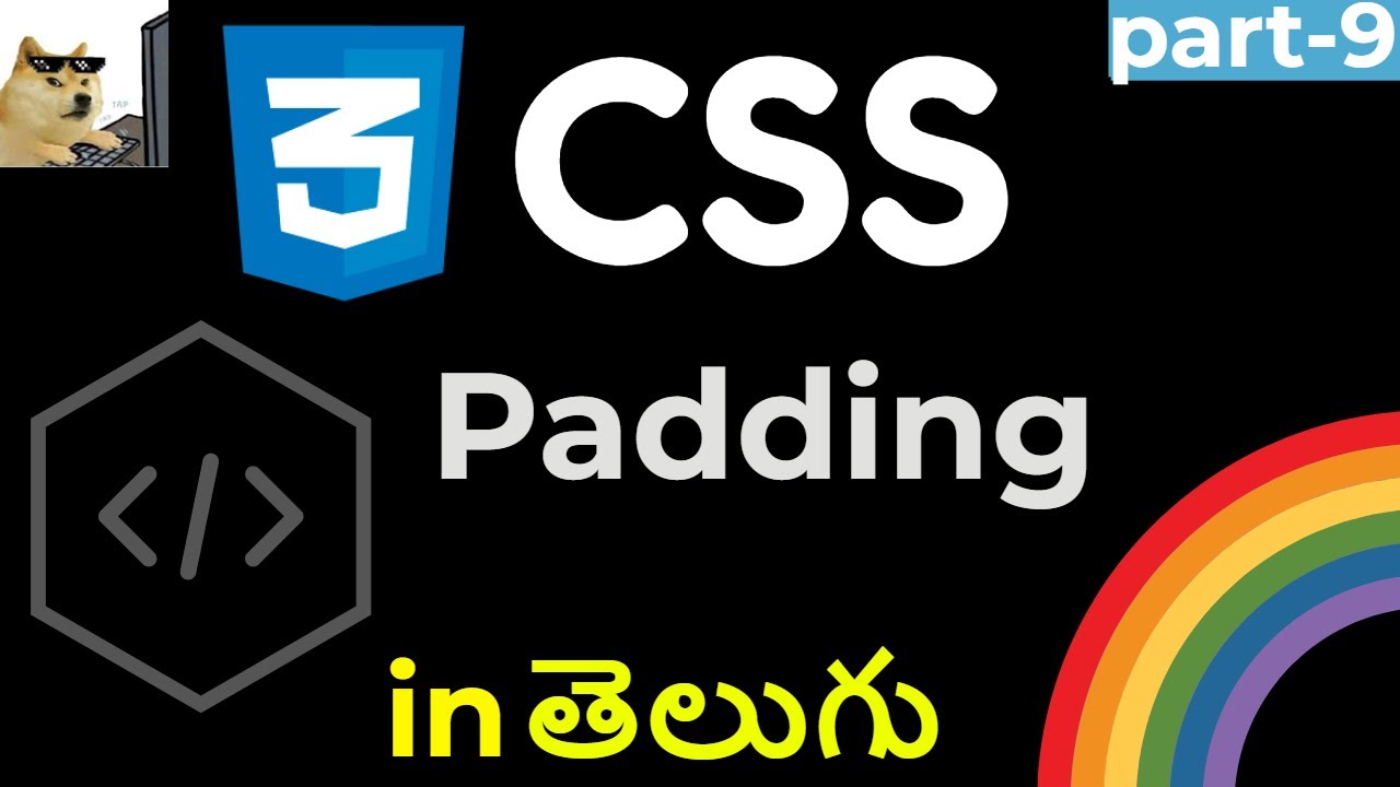 CSS-Padding  #css #telugu #coding #reactfrontend #python #javascript #padding