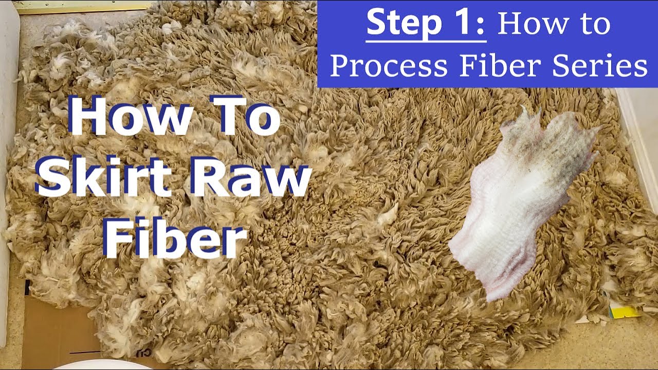 How To Skirt A Fleece - STEP 1: How to Process Fiber Series