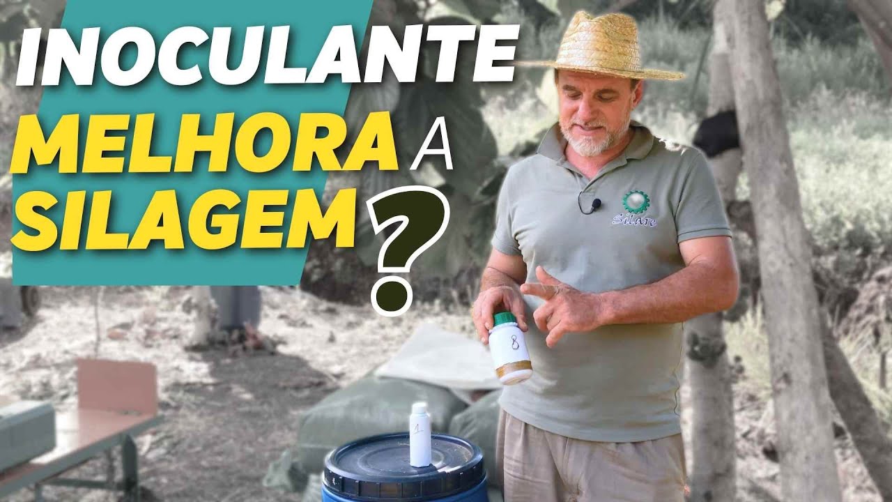 INOCULANTE: respondendo d&uacute;vidas comuns