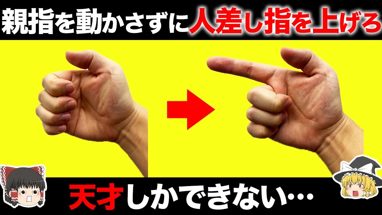 【ゆっくり解説】天才にしかできない！人間の体に関する面白い雑学7選