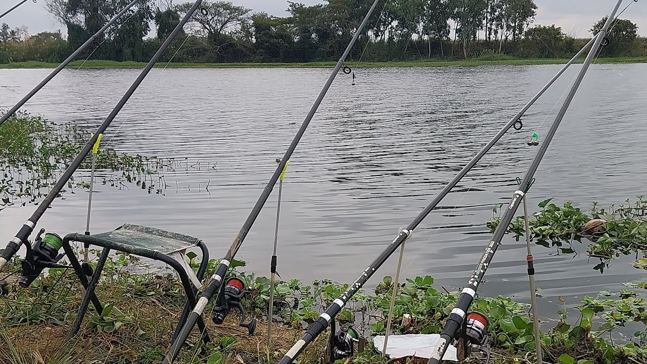 Odia blocker Bangalore fees trip#🐟🐋