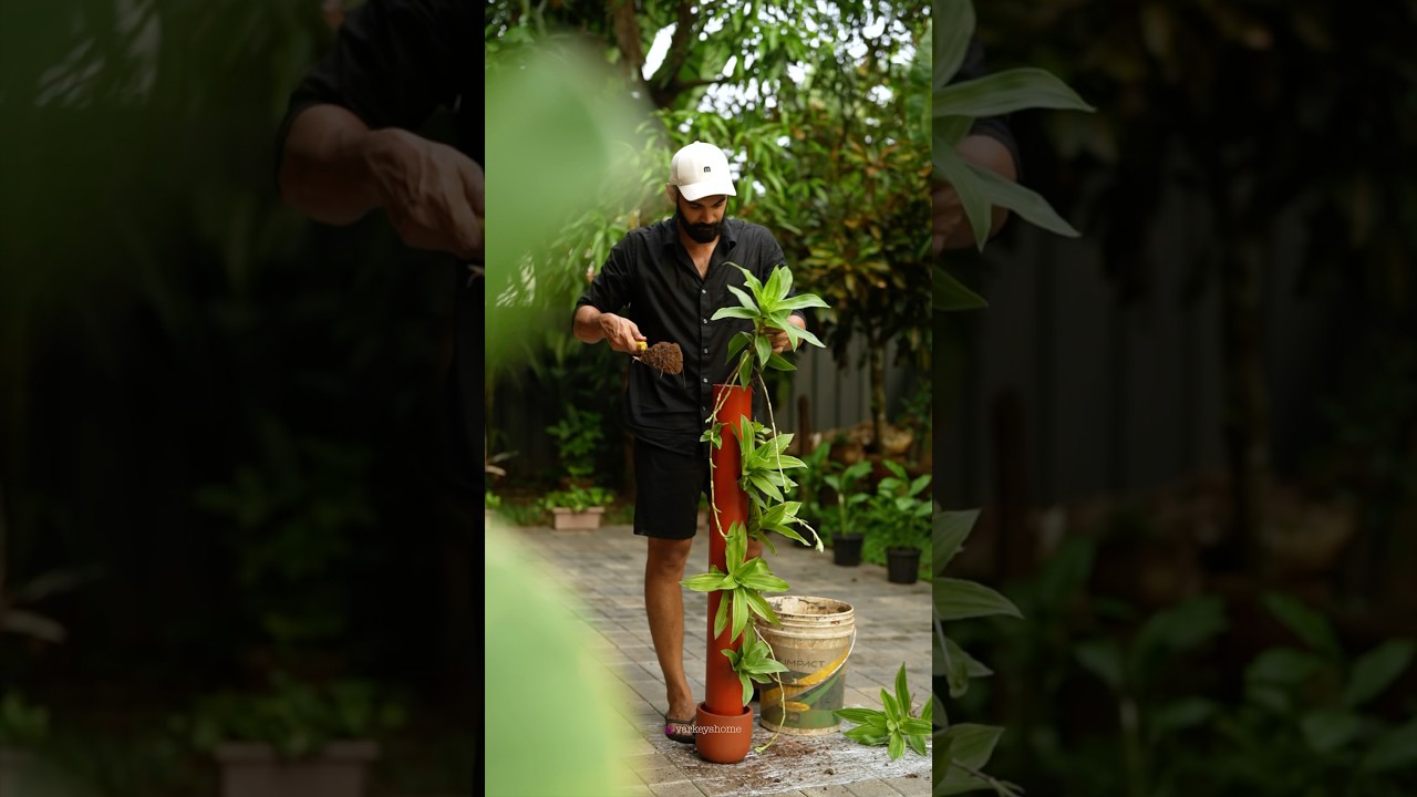 DIY Standing 🪴 #handmadeplanter #home #gardenflowers #homeplants #garden #gardenplants #diy #plant