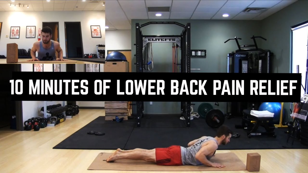 BACK 2 HEALTH! | 10 Minutes of Lower back Pain Relief | #yogaformen