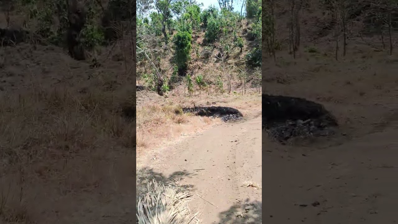 Entrada del Águila hasta la nueva casa 