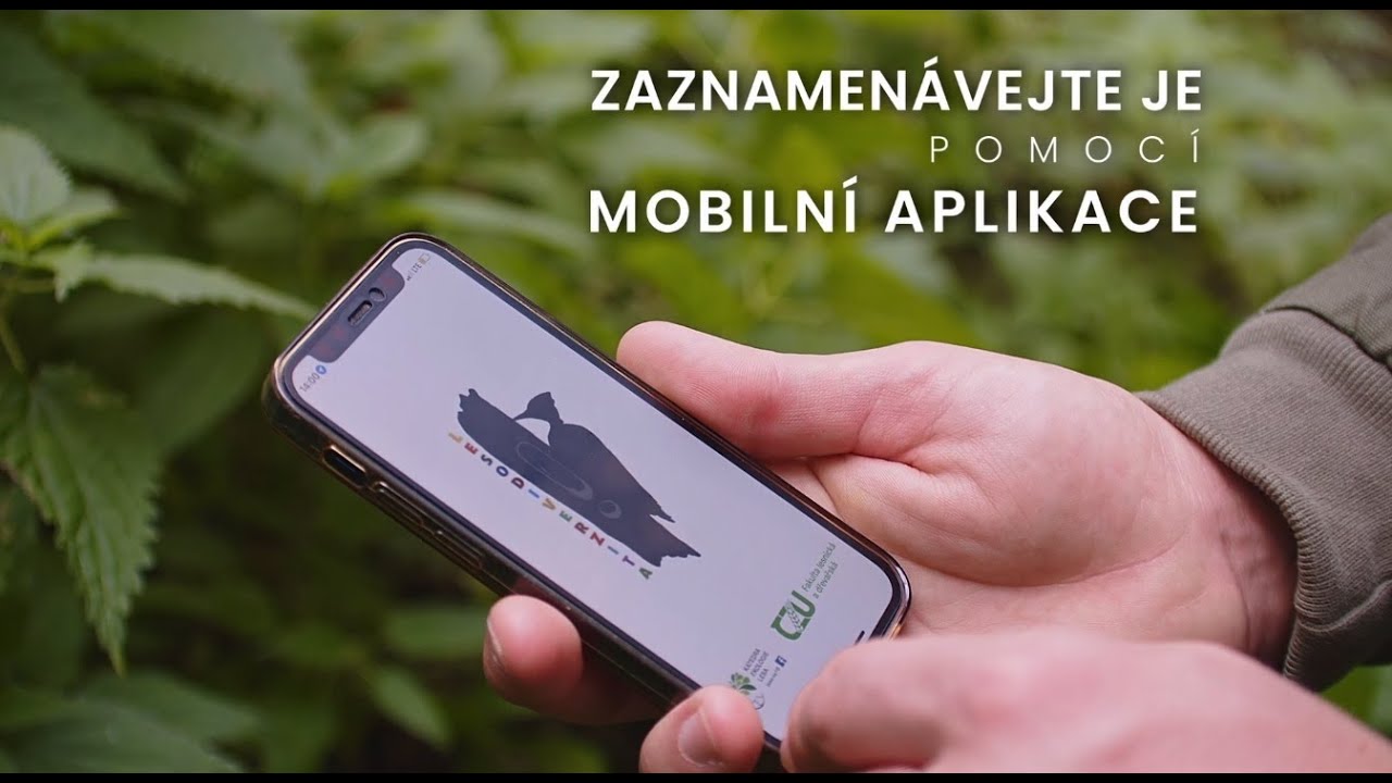 Lesodiverzita | Mapování biotopových stromů