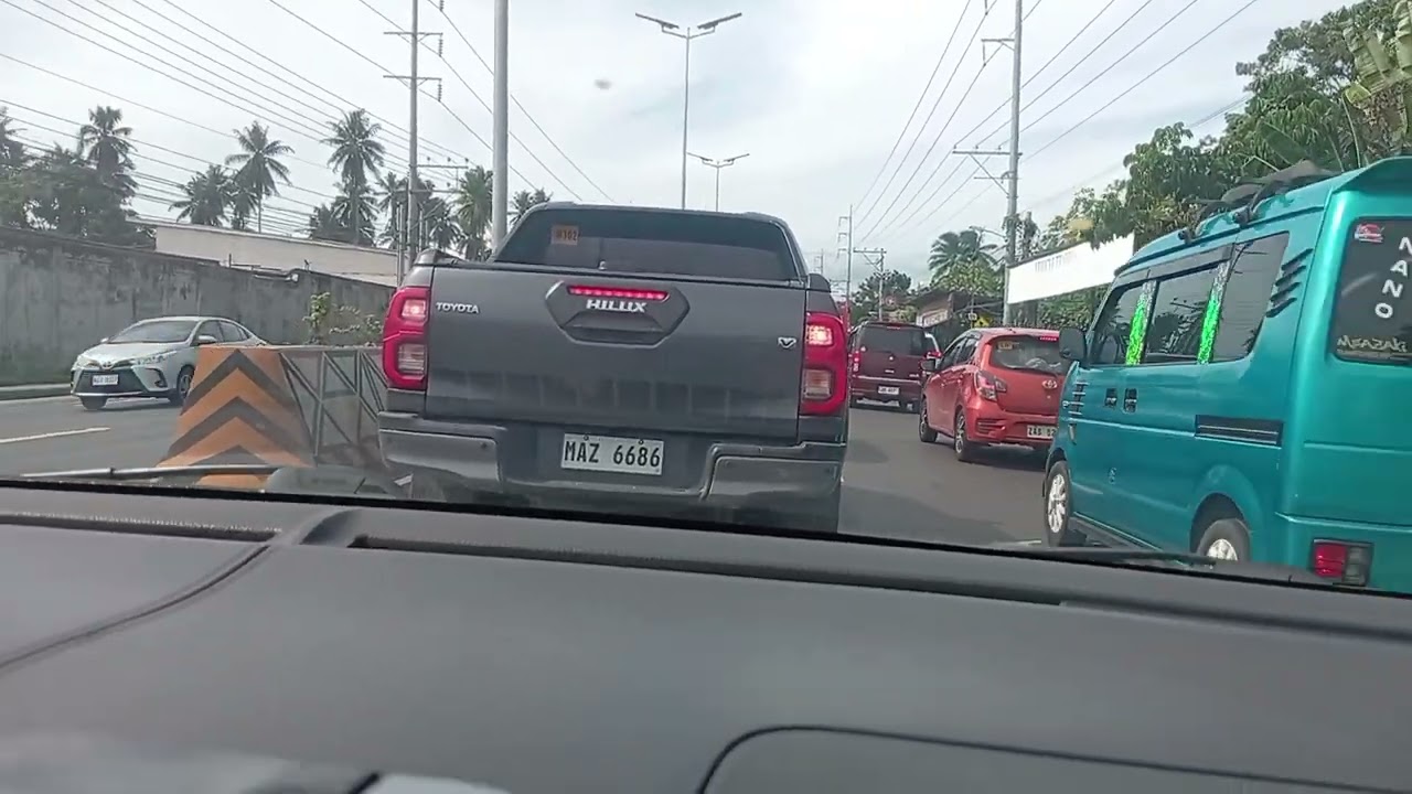 Going to Darong magnolia distributor